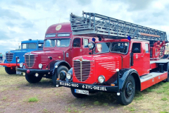 08aca349-b3f6-4597-ae49-395c4b588b58