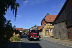 DSC7201_7.-BUeSSING-Elm-Ausfahrt-03.10.2025-Foto-Dirk-Mielke