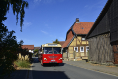 DSC7206_7.-BUeSSING-Elm-Ausfahrt-03.10.2025-Foto-Dirk-Mielke