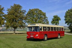 DSC7227_7.-BUeSSING-Elm-Ausfahrt-03.10.2025-Foto-Dirk-Mielke