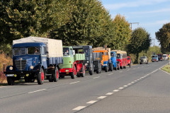 cedd6685-3fde-468e-9bda-07a760a5976e