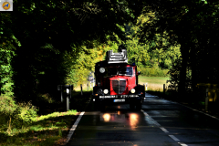 DSC2347.jpg-1