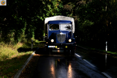 DSC2352.jpg-1