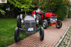 IMG_20221003_120155